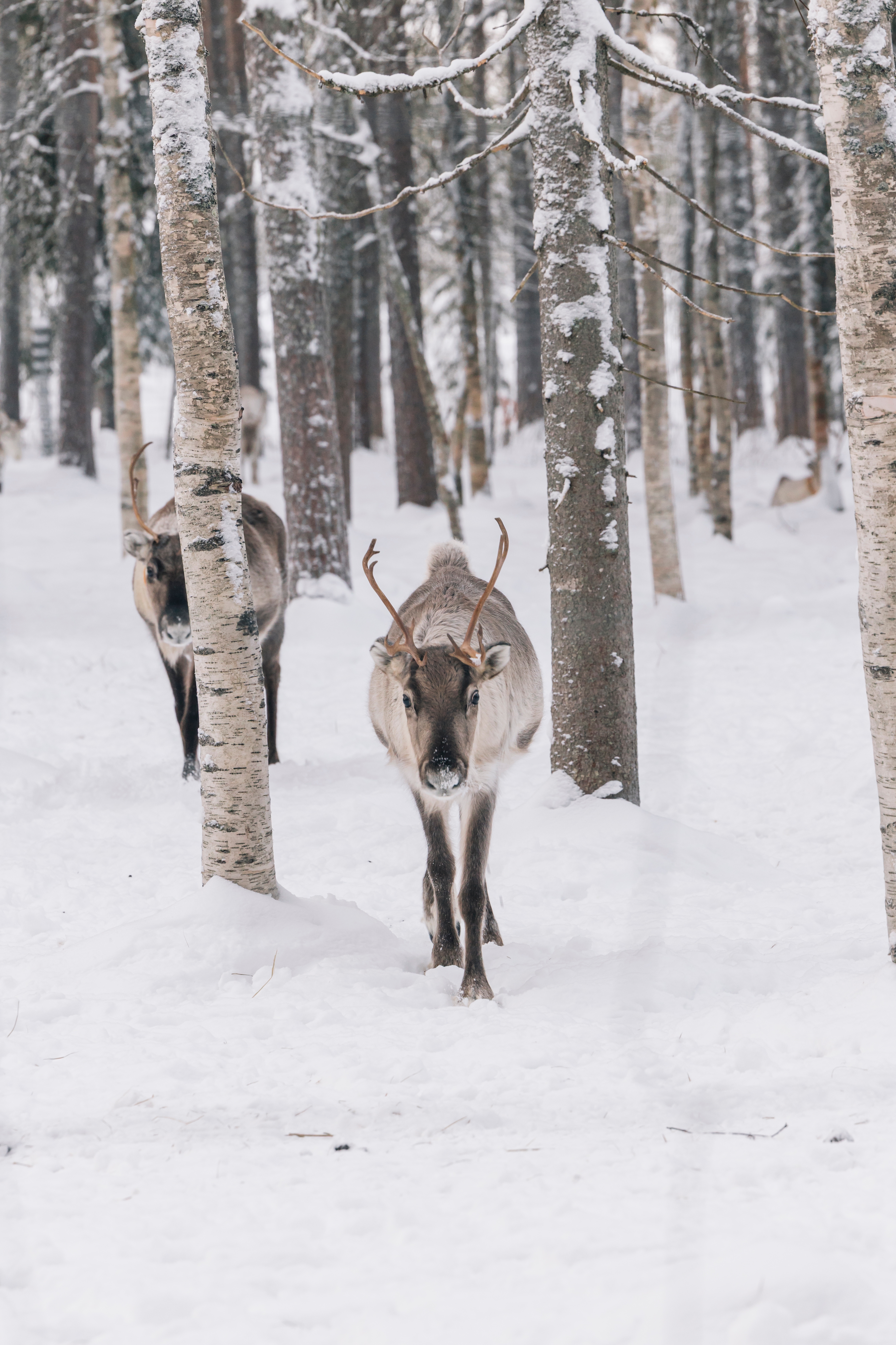 Shaping the Next 50 Years, Together